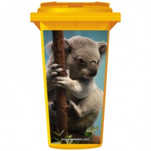 Koala bear On A Branch Wheelie Bin Sticker Panel